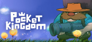 Pocket Kingdom