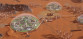 Surviving Mars