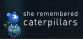 She Remembered Caterpillars