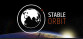 Stable Orbit