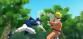 NARUTO: Ultimate Ninja STORM
