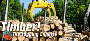 Timber! The Logging Experts