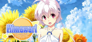 Himawari - The Sunflower