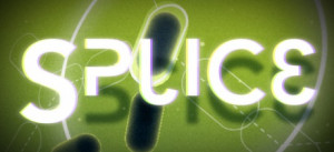 Splice