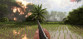 Rising Storm 2: Vietnam - Digital Deluxe Edition Upgrade