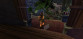 Tomb Raider VI: Angel Of Darkness
