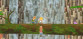 Secret Of Mana