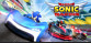 Team Sonic Racing™