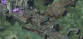 Pillars Of Eternity II: Deadfire - Standard Edition