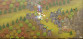 PixelJunk Monsters Ultimate