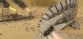WAR DUST