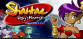 Shantae: Risky's Revenge - Director's Cut