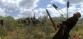 Mount & Blade: With Fire & Sword