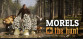Morels: The Hunt