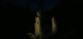 Morels: The Hunt