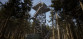 Morels: The Hunt