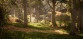 Morels: The Hunt