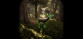 Morels: The Hunt