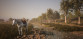 Morels: The Hunt