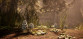 Morels: The Hunt