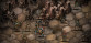 Urtuk: The Desolation