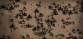 Urtuk: The Desolation