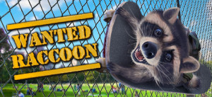 Wanted Raccoon