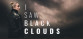 I Saw Black Clouds