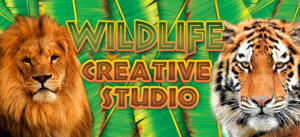 Wildlife Creative Studio