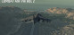 Combat Air Patrol 2