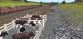 Trainz: Settle And Carlisle