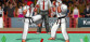 Karate Master 2 Knock Down Blow