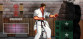 Karate Master 2 Knock Down Blow