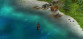 Pirate's Life