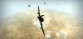 WarBirds - World War II Combat Aviation