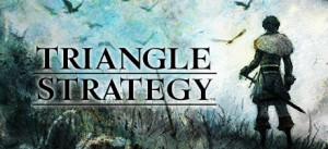 TRIANGLE STRATEGY