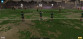 Rugby Union Team Manager 4