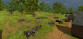 Defend The Highlands
