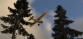 X-Plane 12