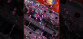 Gunvein