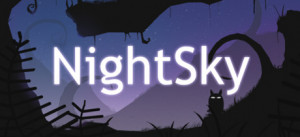 NightSky
