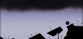 NightSky