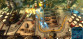 X-Morph: Defense