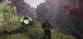 ELEX