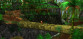 TY The Tasmanian Tiger