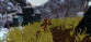 TY The Tasmanian Tiger