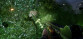 Earthfall