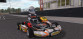 Kart Racing Pro