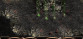 Warlords Battlecry III