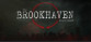 The Brookhaven Experiment